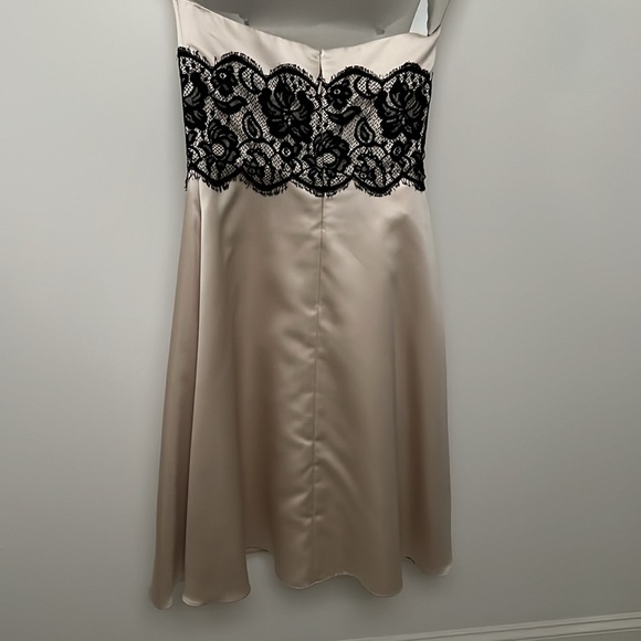 White House Black Market Strapless Ivory & Black Lace Dress - Picture 7 of 10